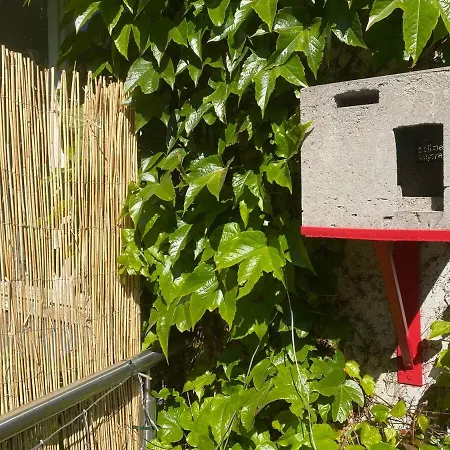 Maison Sous Le Signe De L'art Et De La Verdure