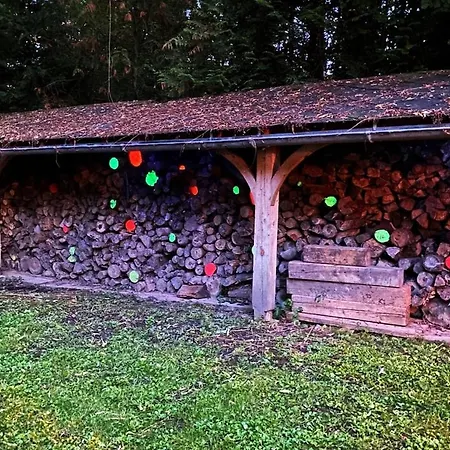 Maison Sous Le Signe De L'art Et De La Verdure